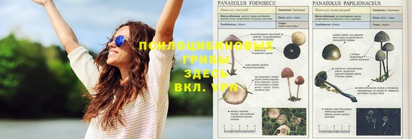 соль курить ск Алзамай