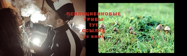 прущие грибы Алексеевка