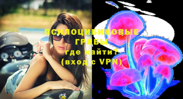 соль курить ск Алзамай
