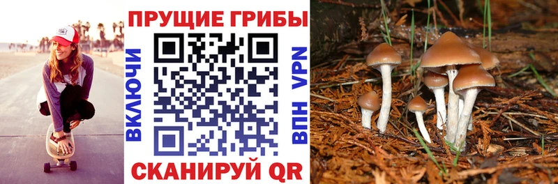 Галлюциногенные грибы Magic Shrooms  omg маркетплейс  Островной 